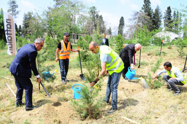 Another tree planting action was held within the framework of the” year of Constitution and sovereignty"