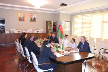 Naftalanlı cüdoçular qızıl medalla təltif olunub