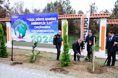 A tree planting action was held in Naftalan