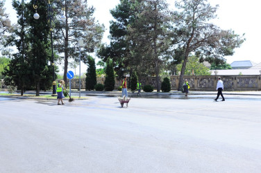 A citywide Subbotnik was held in Naftalan
