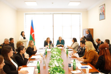 Məişət zorakılığının qarşısının alınması sahəsində monitorinq və əlaqələndirmə qruplarının növbəti təlimi keçirilib