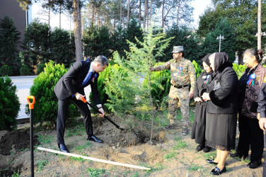 “Zəfər Səlnaməsinin 5 ili”