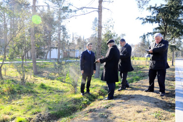 More than 5 thousand trees were planted during 2023