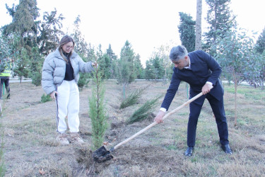 Another tree planting action was held in Naftalan