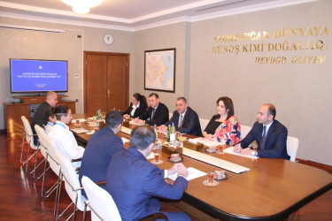 Naftalanlı cüdoçular qızıl medalla təltif olunub