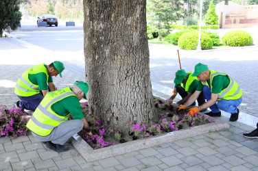 Landscaping work continues