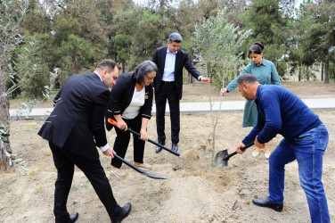 Tree planting action held in connection with Memorial Day