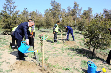 Another tree planting action was held in Naftalan