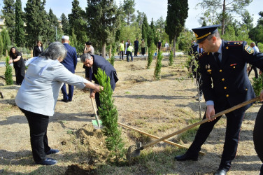 Naftalanda 27 sentyabr Anım Günü tədbiri keçirilib