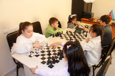 “6 Aprel – Ümumdünya Fiziki Aktivlik Günü” qeyd edilib