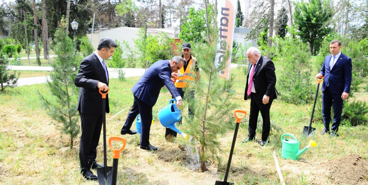 “Konstitusiya və Suverenlik İli” çərçivəsində növbəti ağacəkmə aksiyası keçirilib
