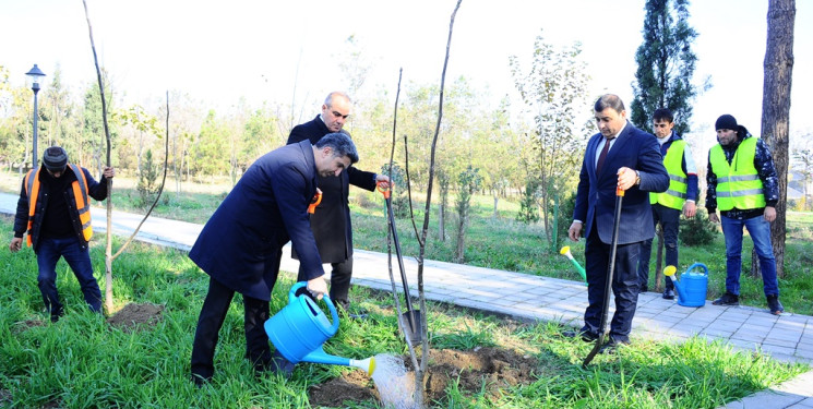 “Yaşıl dünya naminə həmrəylik ili” çərçivəsində növbəti ağacəkmə aksiyası keçirilib