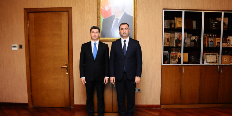 The head of State met with the new head of ganja-Dashkasan regional culture department