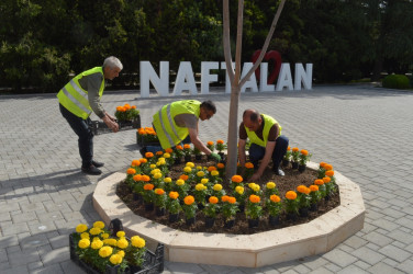 Yaşıllaşdırma işləri davam etdirilir