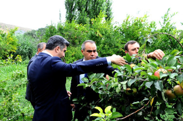 "Qaşaltı Bağları"na baxış keçirilib