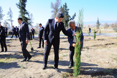 27 sentyabr - Anım Günü Naftalanda qeyd edilib