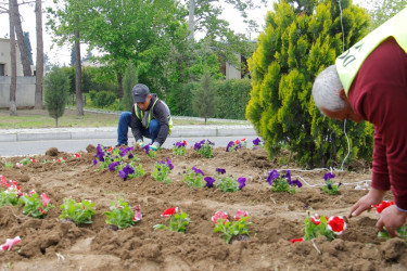 Preparations for international competitions continue in Naftalan
