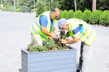 A citywide Subbotnik was held in Naftalan