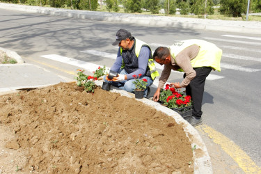 Naftalanda beynəlxalq yarışa hazırlıq işləri davam etdirilir