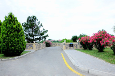 The name of ashig Ali is immortalized