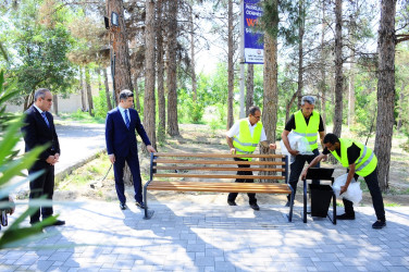 Şəhər ərazisində parklara yeni oturacaqlar quraşdırılıb