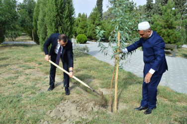 Naftalanda 27 sentyabr Anım Günü tədbiri keçirilib