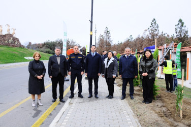 A tree planting action was held in Naftalan