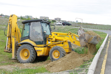 Tree planting and landscaping are underway in Naftalan