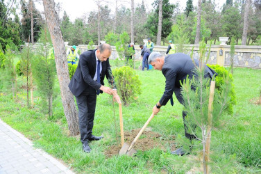 “Konstitusiya və Suverenlik İli” çərçivəsində növbəti ağacəkmə aksiyası keçirilib