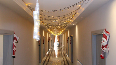 Preparations for the new year have been completed at tourism enterprises in Naftalan