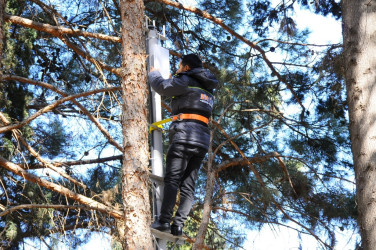 Naftalan parklarında sosial layihə