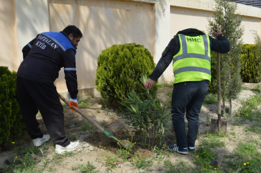 Naftalanda beynəlxalq yarışa hazırlıq işləri davam etdirilir