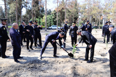 Ulu Öndərin 100 illik yubileyinə həsr olunmuş ağacəkmə aksiyası keçirilib