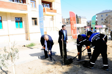 A tree-planting action dedicated to the 100th anniversary of the Great Leader was held