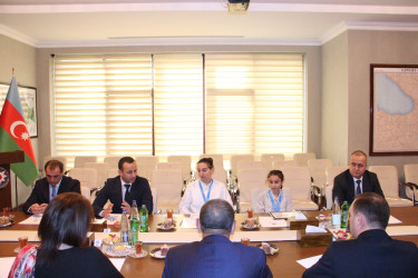 Naftalanlı cüdoçular qızıl medalla təltif olunub