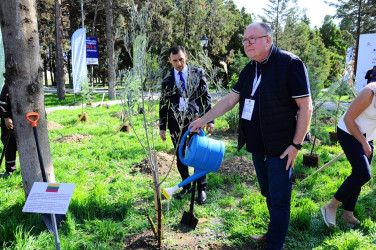 The International Scientific-Practical Conference has started in Naftalan