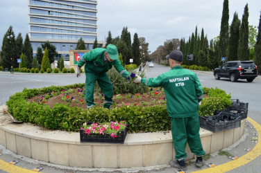 Another tree planting action was held within the framework of the” year of Constitution and sovereignty"