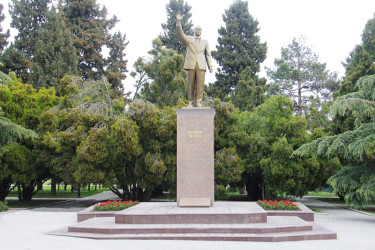 Naftalanda növbəti ağacəkmə aksiyası keçirilib