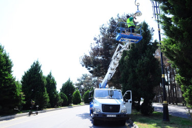 Yaşıl Dünya Naminə Həmrəylik İli çərçivəsində yaşıllıqlar salınır