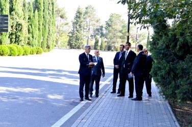 Şəhər İcra Hakimiyyətinin başçısı parklara baxış keçirib