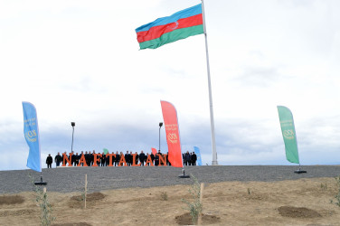 Naftalanda “Heydər Əliyev ili” çərçivəsində ağacəkmə aksiyası keçirilib