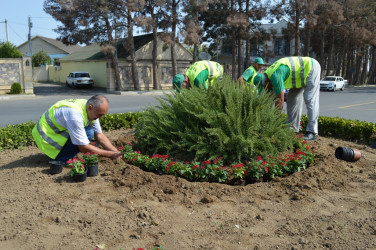 Green spaces are laid within the framework of the Year of solidarity for the sake of the Green World