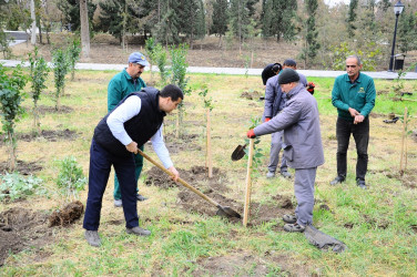 A tree planting campaign was held within the framework of the "Green Marathon"
