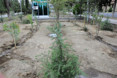 27 Сентября – День Памяти