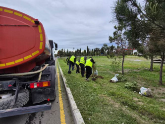 Tree planting and landscaping are underway in Naftalan