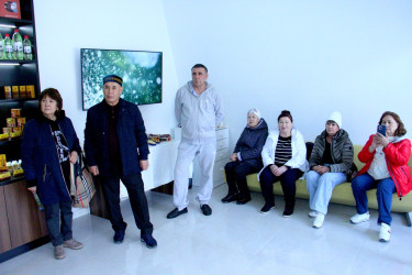 In Naftalan, the tourist opportunities of the Western Region and Karabakh are presented in VR format