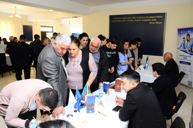 "Job Fair" was organized