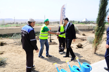 Yaşıllaşdırma işləri davam etdirilir